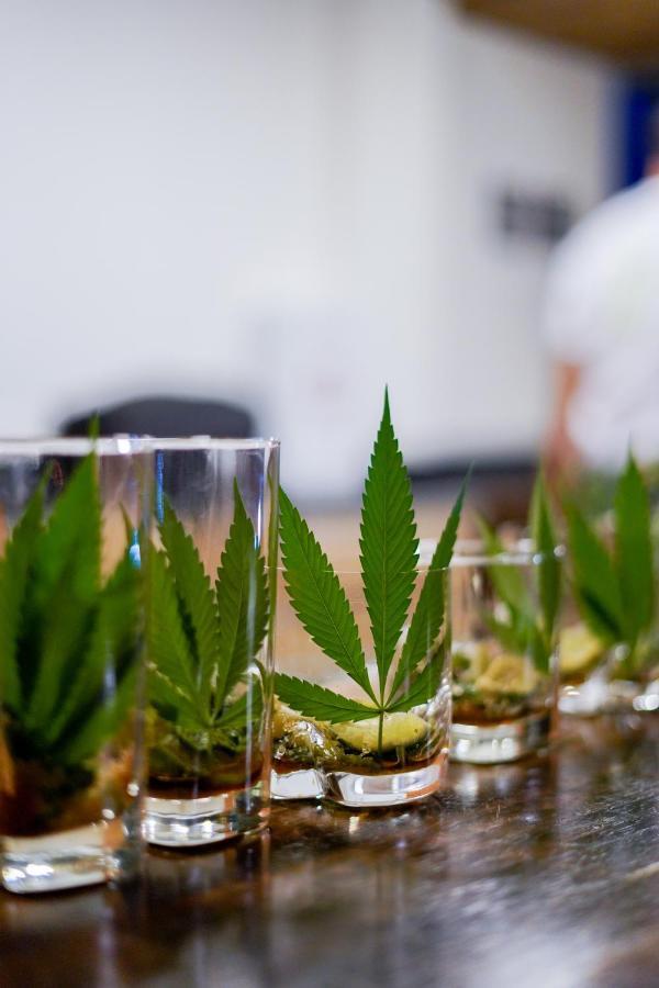 Cannatel Exclusive Hotel El Socorro Eksteriør billede